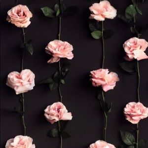 Meet your Posher, Richelle